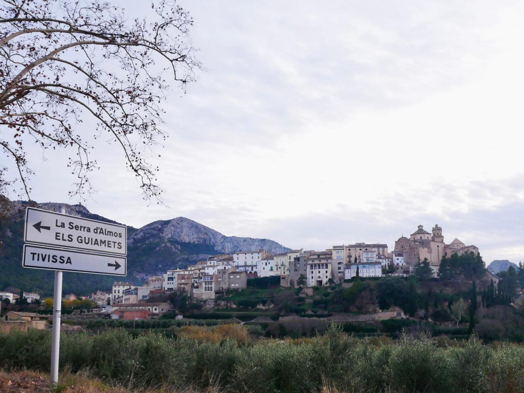 Apartament Rural Monetze Tivissa Luaran gambar