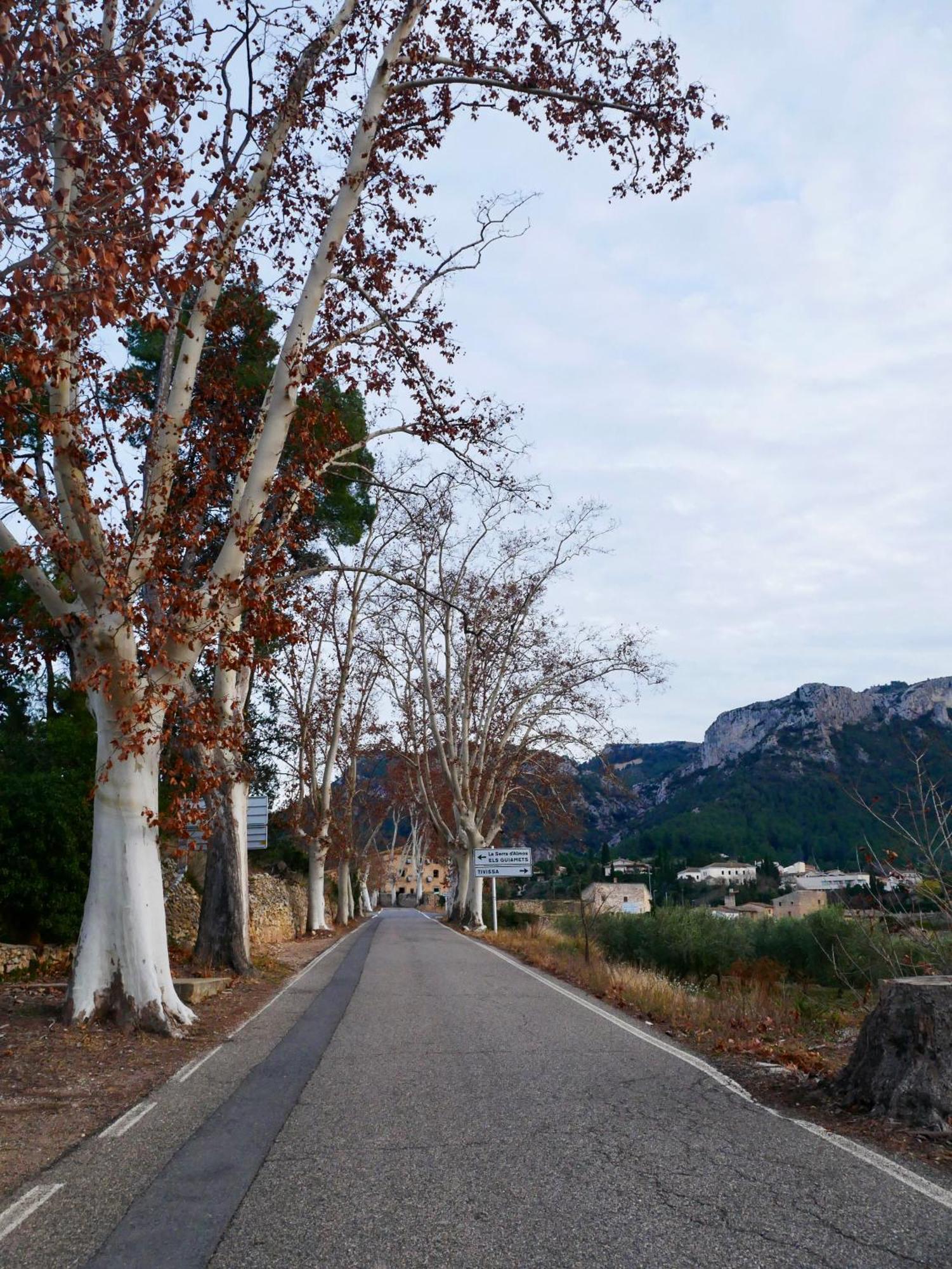 Apartament Rural Monetze Tivissa Luaran gambar