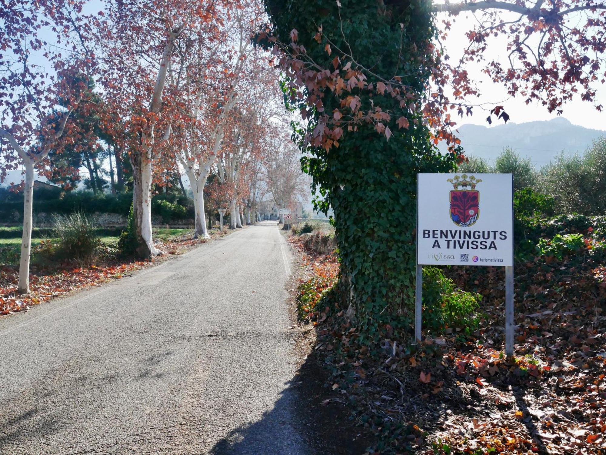 Apartament Rural Monetze Tivissa Luaran gambar